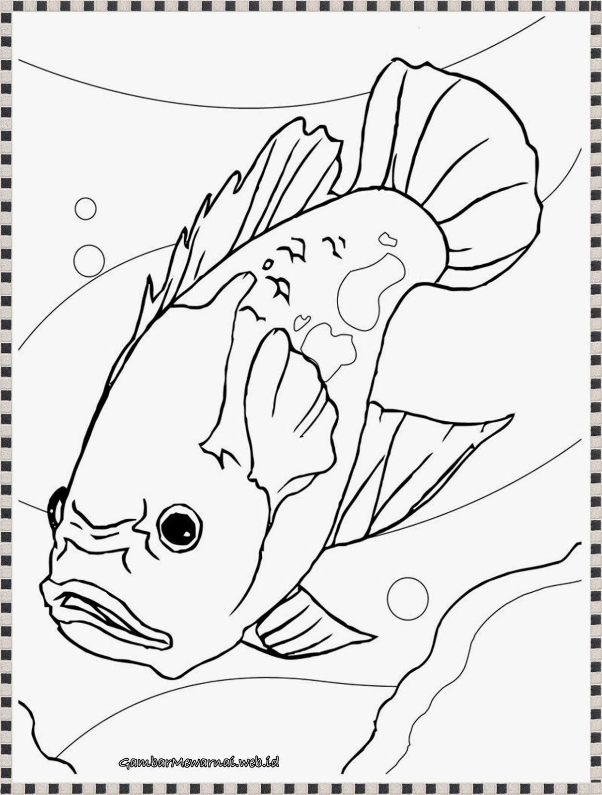 90 Printable Aquarium Visit Coloring Pages 72