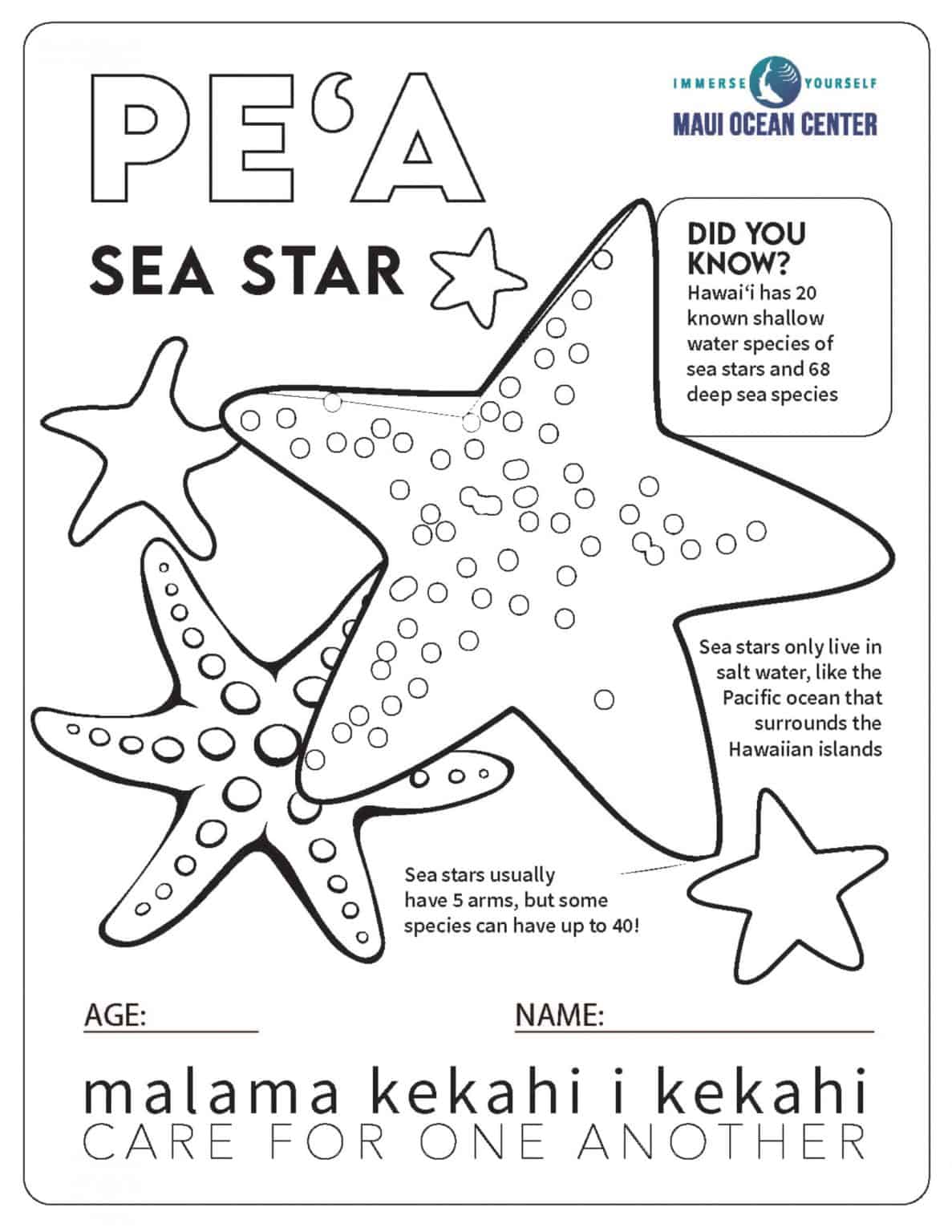 90 Printable Aquarium Visit Coloring Pages 73