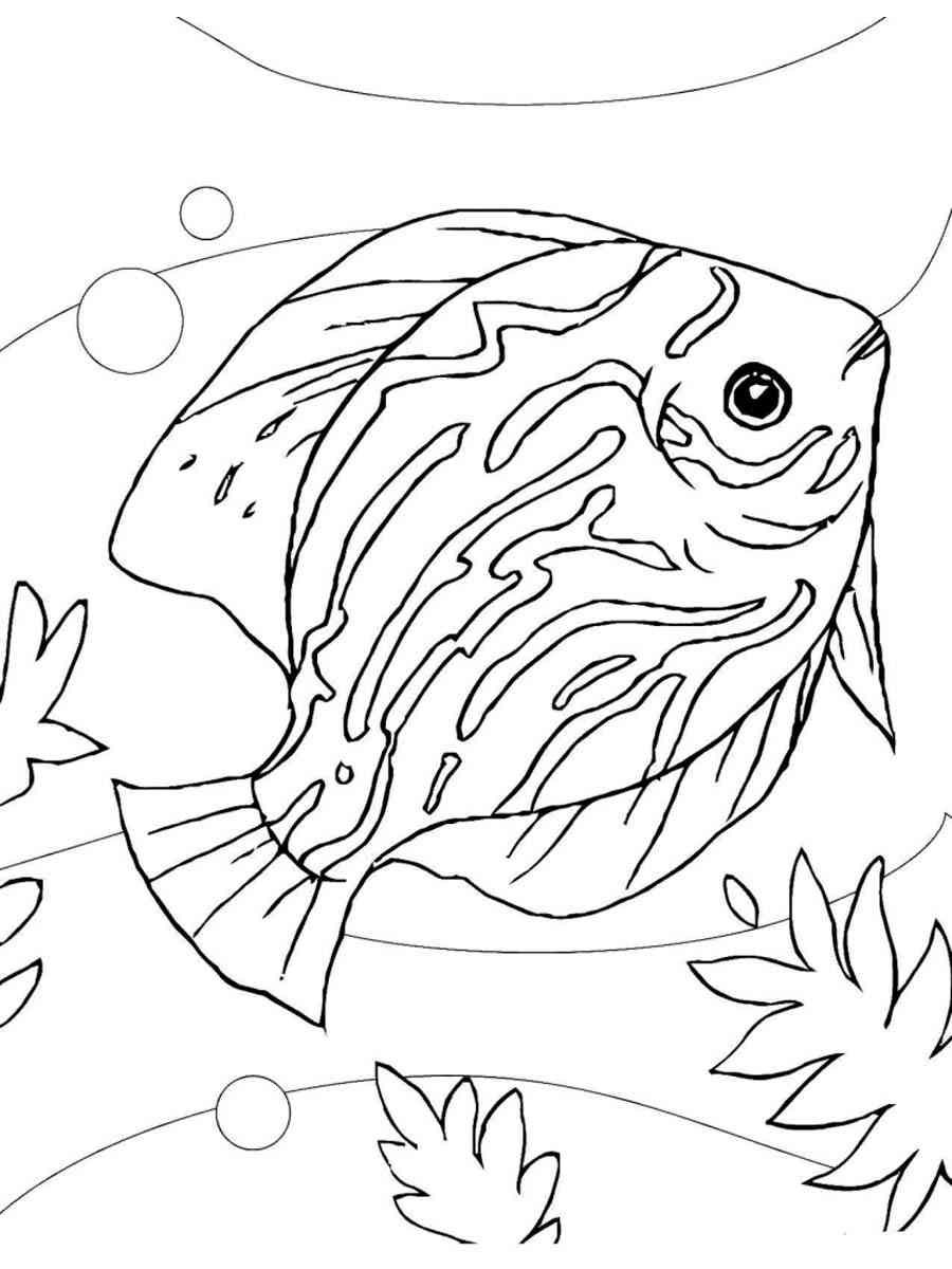 90 Printable Aquarium Visit Coloring Pages 81