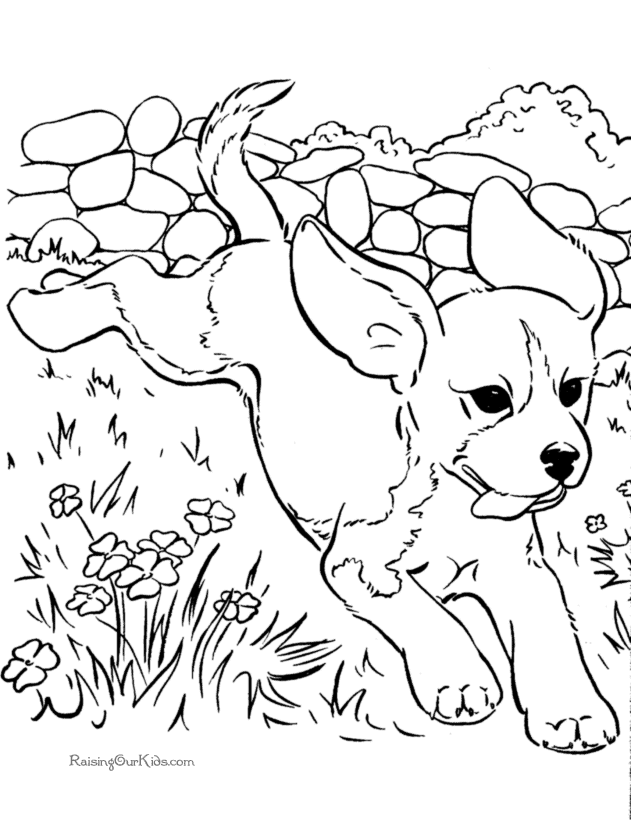 Get 85 Blank Coloring Page Ideas 54