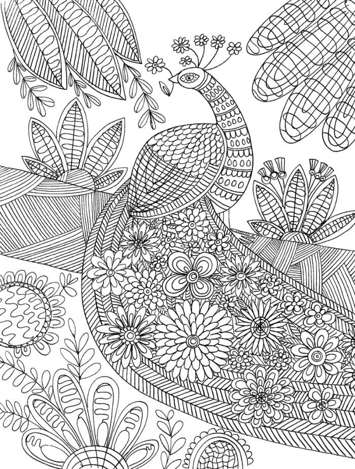 Get 85 Blank Coloring Page Ideas 62