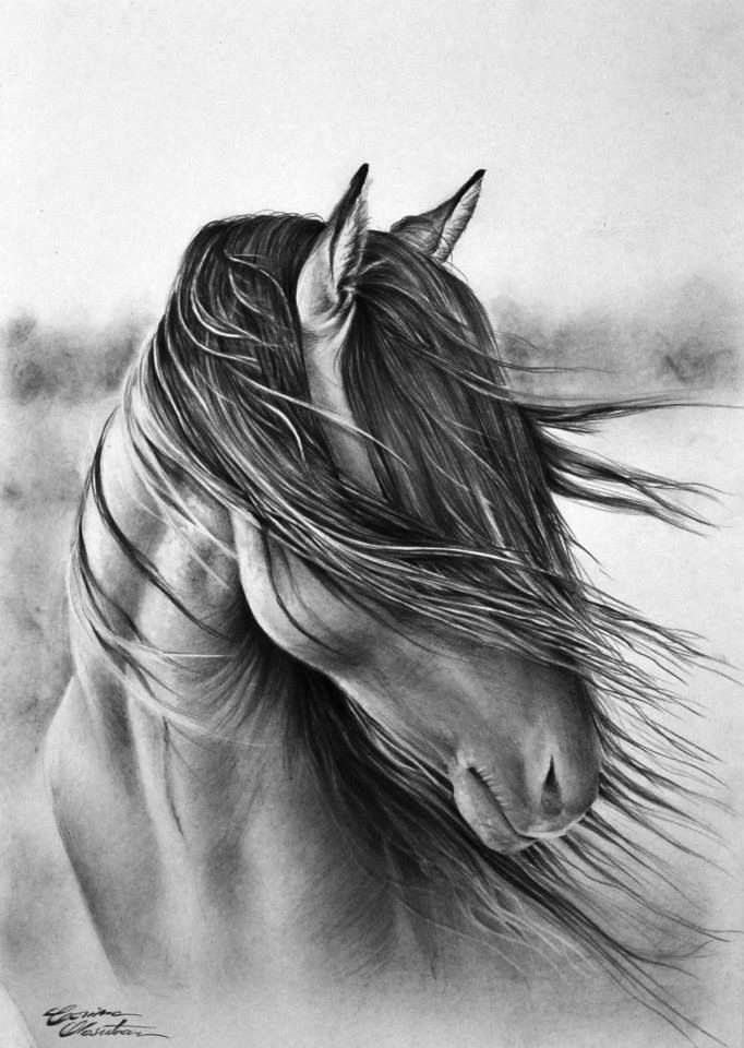 60 Printable Adult Horse Coloring Pages 12