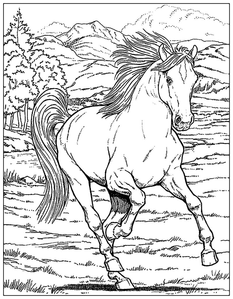 60 Printable Adult Horse Coloring Pages 16