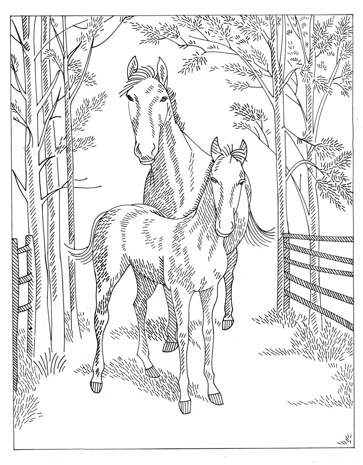 60 Printable Adult Horse Coloring Pages 19