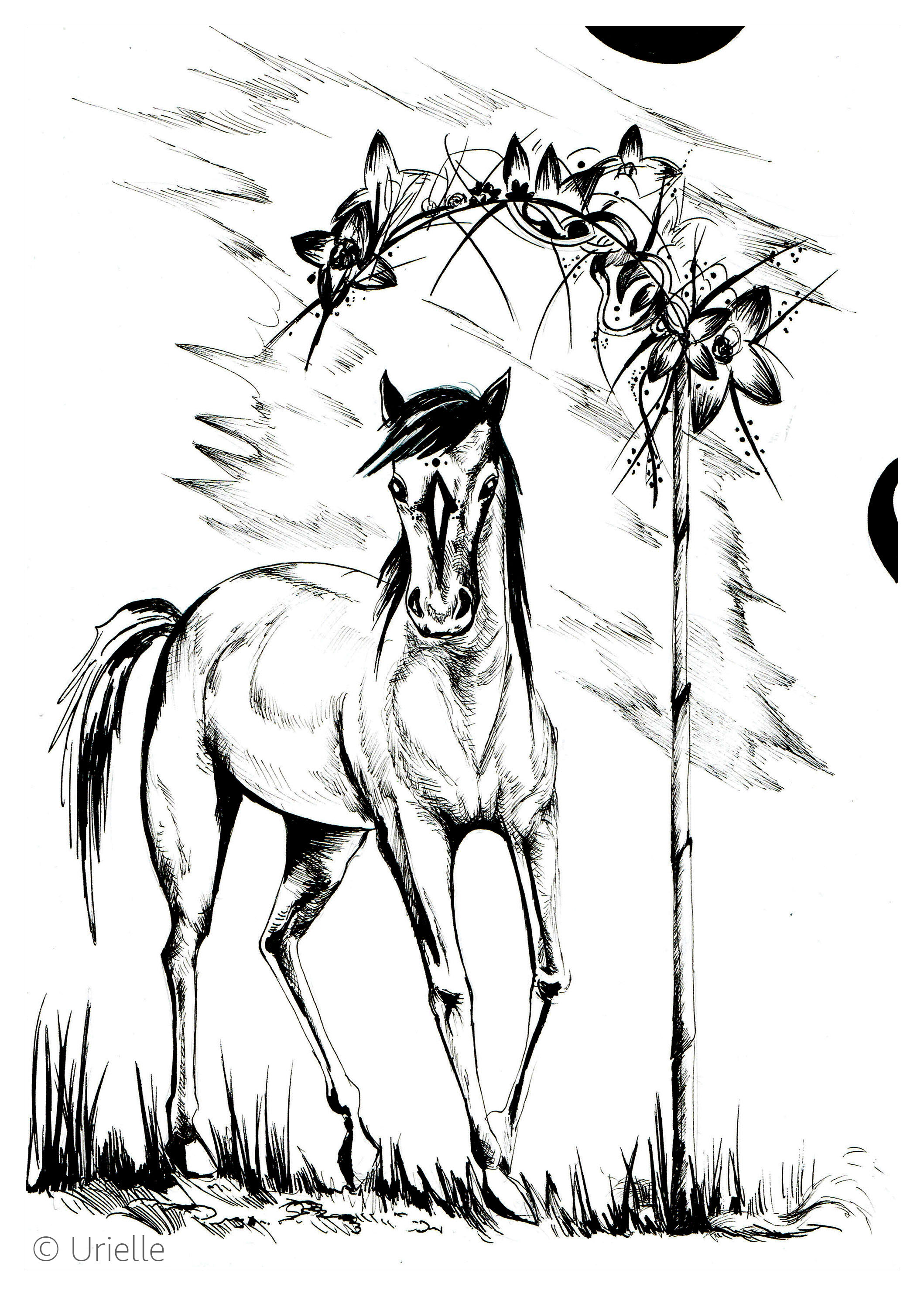 60 Printable Adult Horse Coloring Pages 20