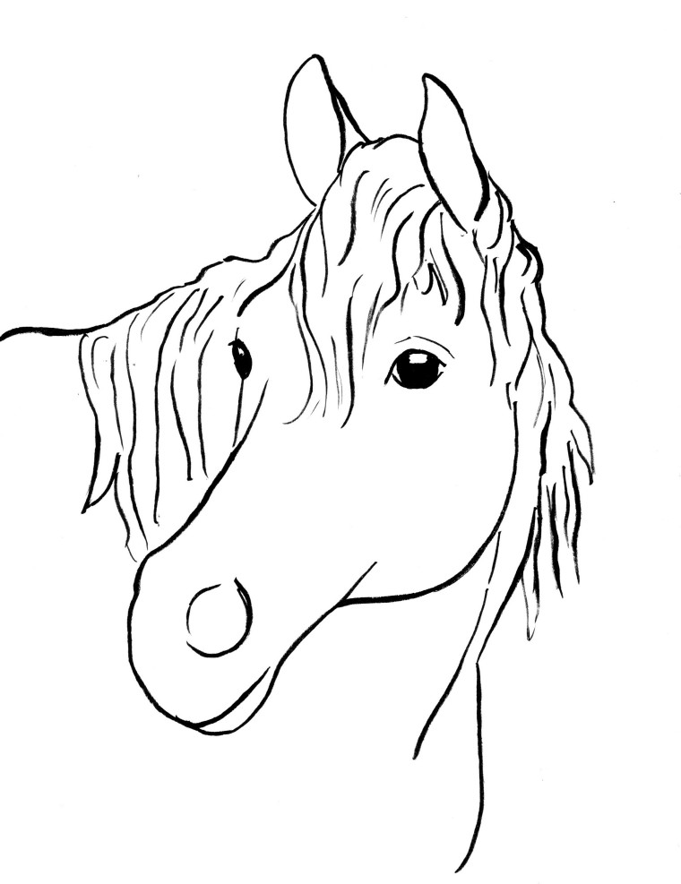 60 Printable Adult Horse Coloring Pages 21