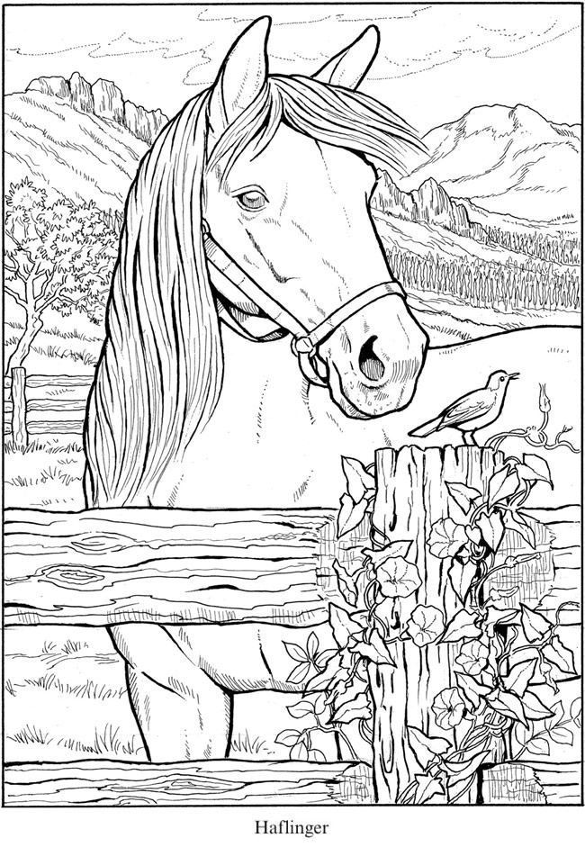 60 Printable Adult Horse Coloring Pages 37