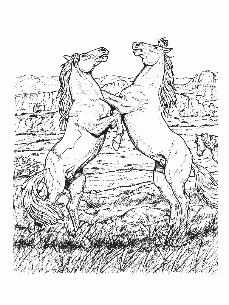 60 Printable Adult Horse Coloring Pages 38