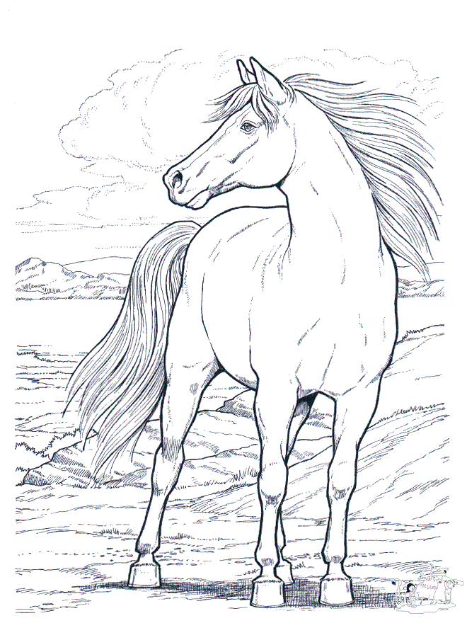 60 Printable Adult Horse Coloring Pages 50