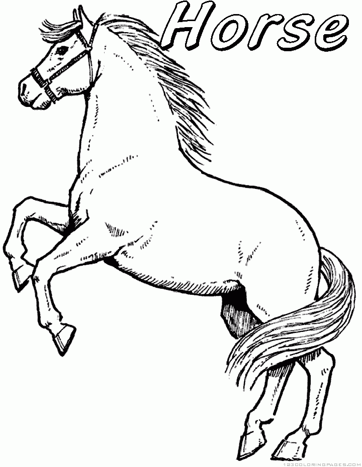 60 Printable Adult Horse Coloring Pages 54