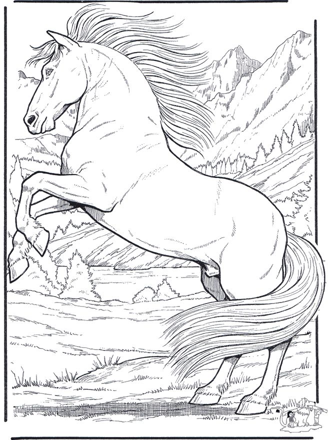 60 Printable Adult Horse Coloring Pages 56