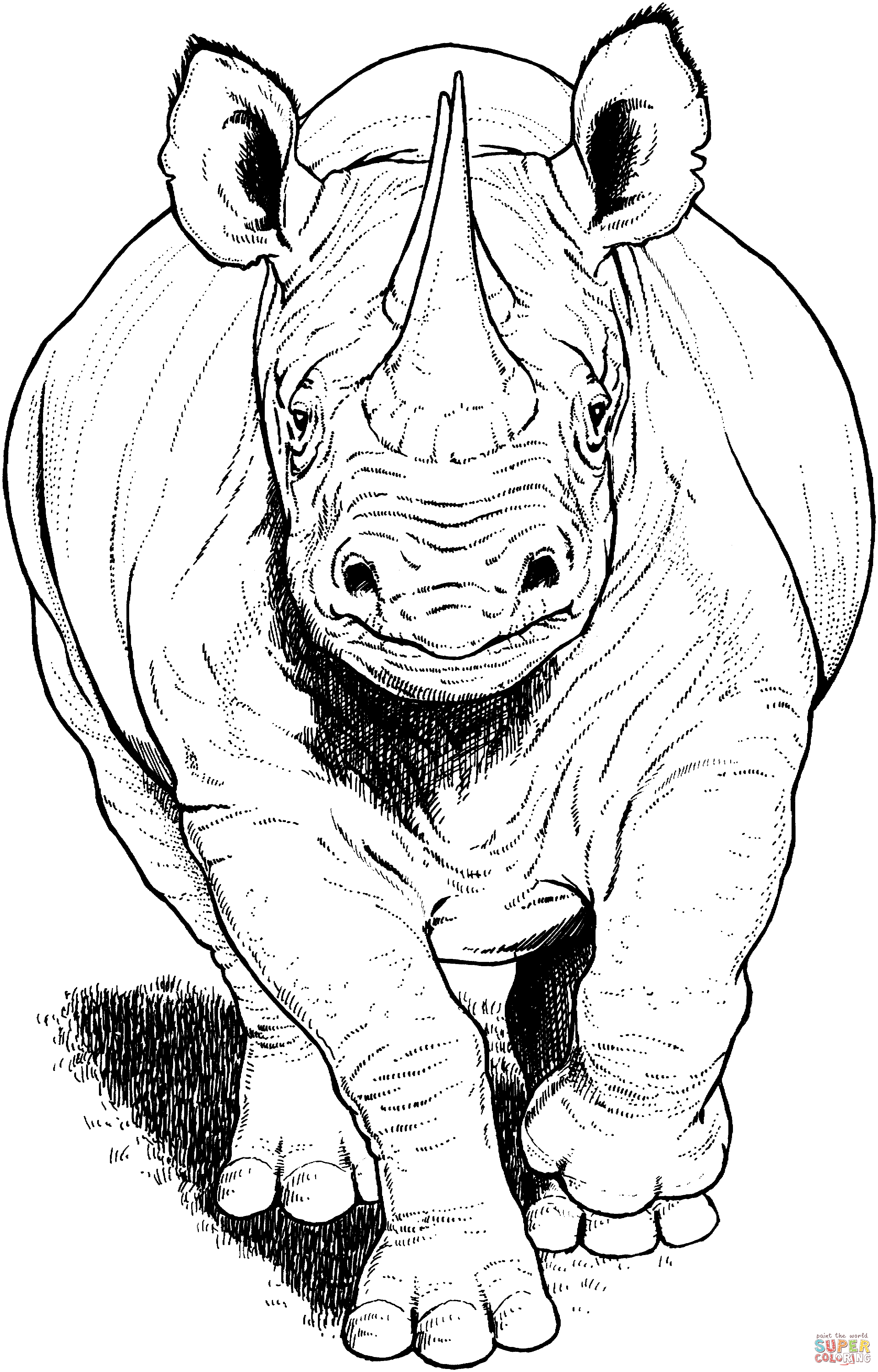 60 Printable Coloring Pages Of Rhinos 1