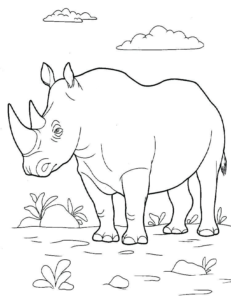 60 Printable Coloring Pages Of Rhinos 38