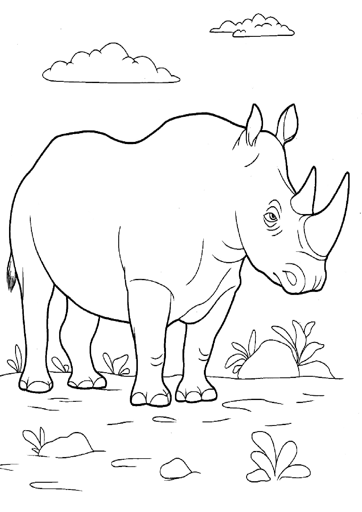 60 Printable Coloring Pages Of Rhinos 40