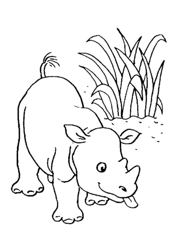 60 Printable Coloring Pages Of Rhinos 41