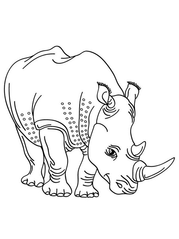 60 Printable Coloring Pages Of Rhinos 42