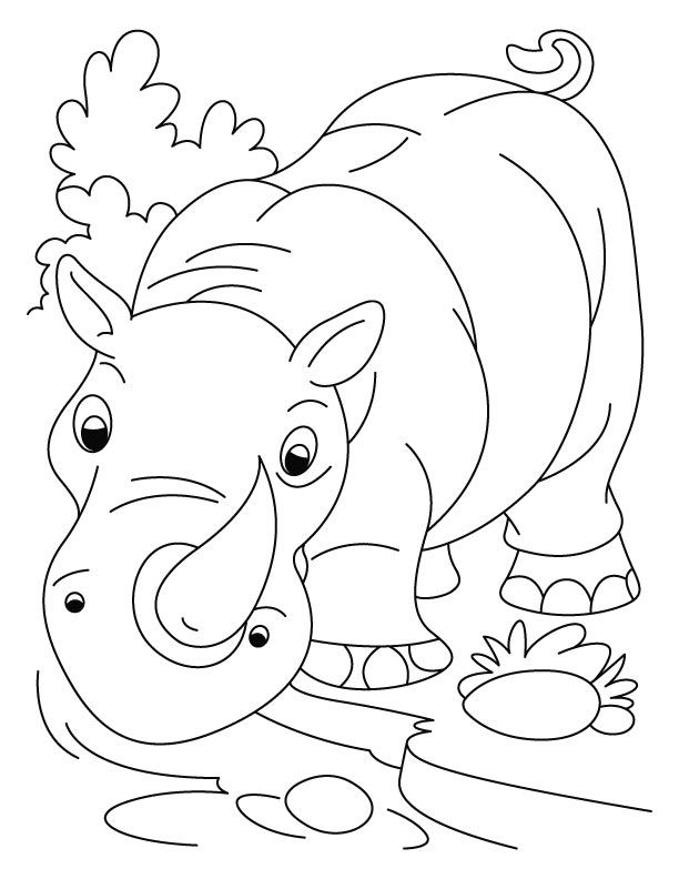 60 Printable Coloring Pages Of Rhinos 43