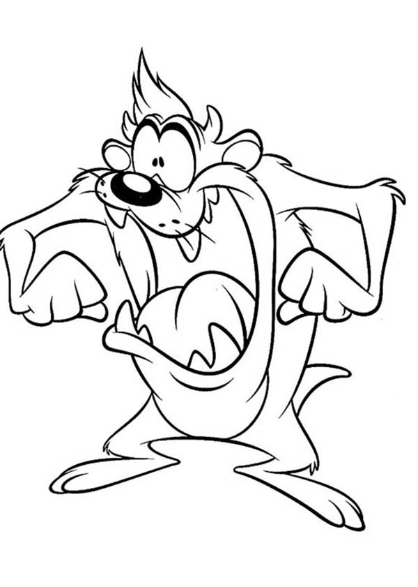 60 Printable Tasmanian Devil Coloring Pages 38