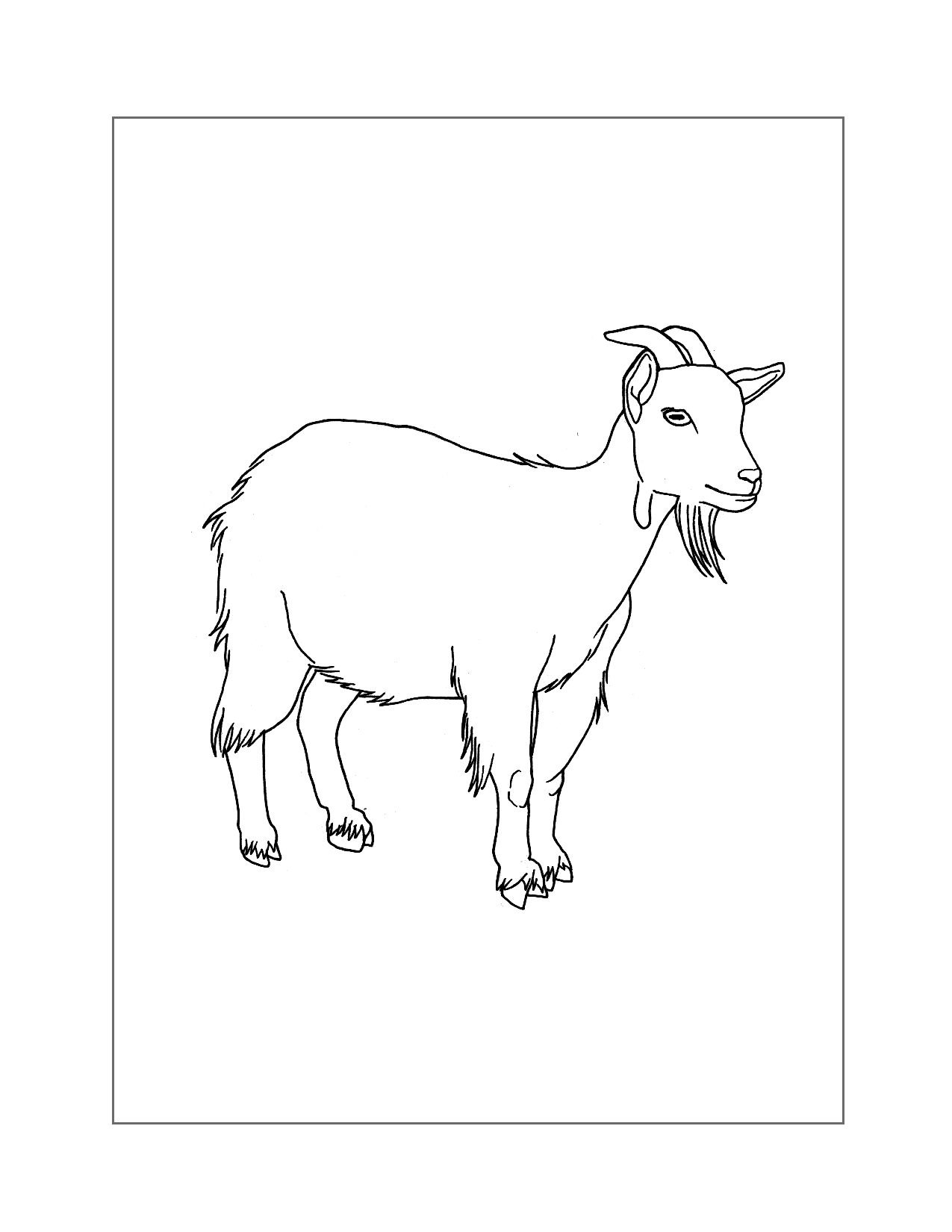 Get 85 Coloring Page Goat Ideas 2