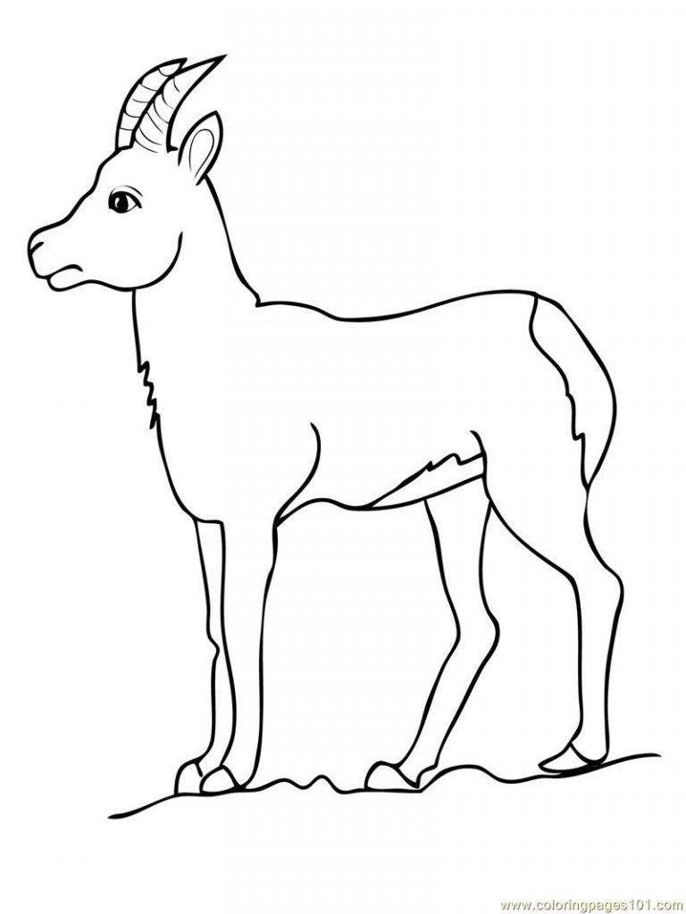 Get 85 Coloring Page Goat Ideas 23