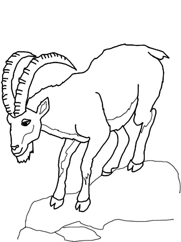 Get 85 Coloring Page Goat Ideas 26