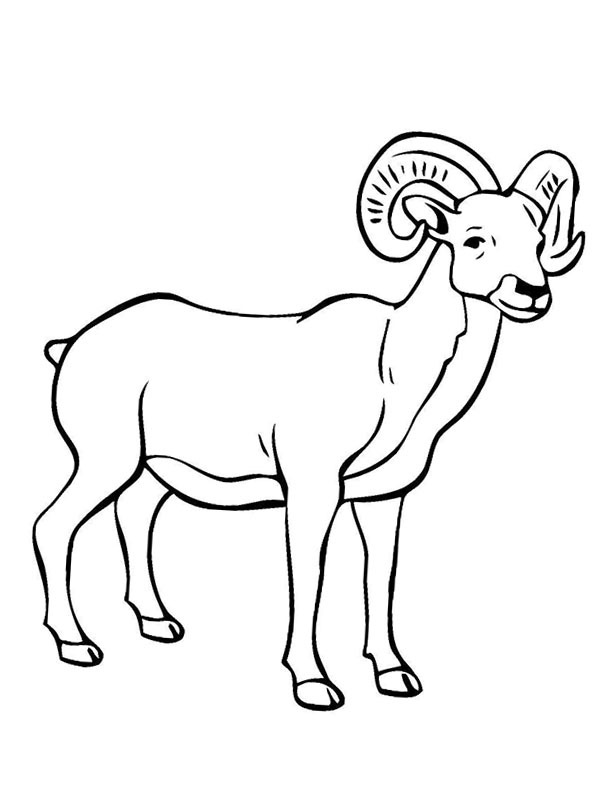 Get 85 Coloring Page Goat Ideas 3