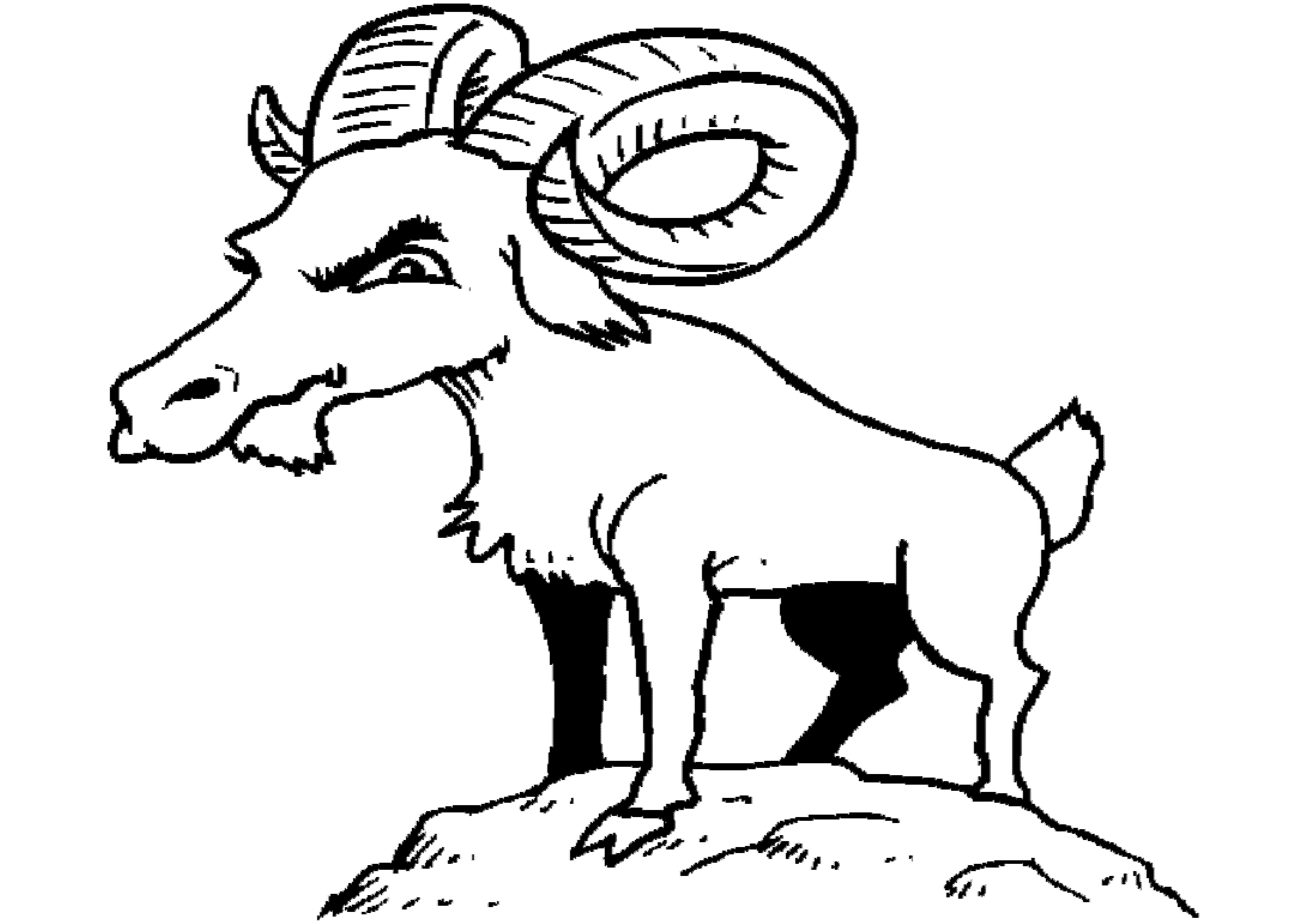 Get 85 Coloring Page Goat Ideas 33