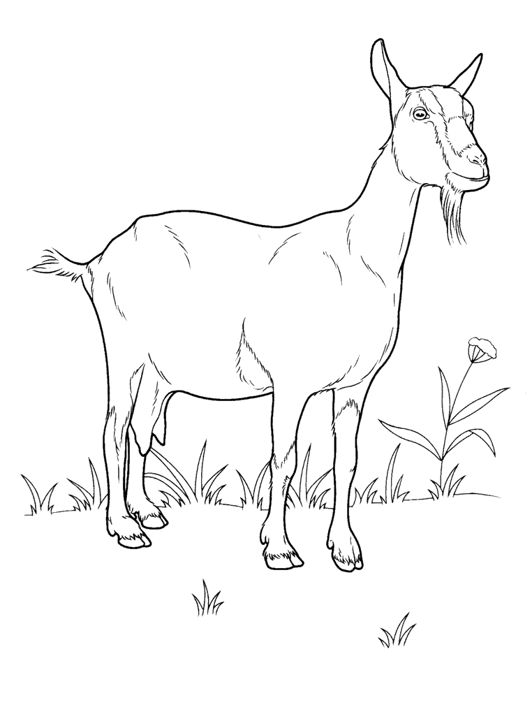 Get 85 Coloring Page Goat Ideas 45