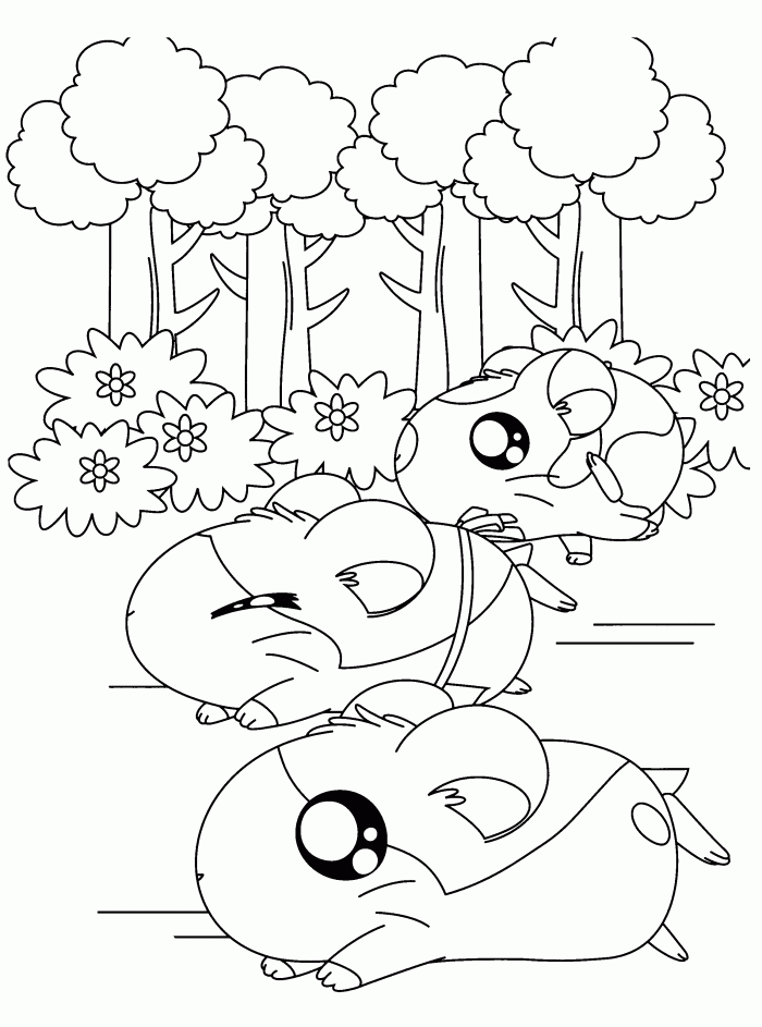 Get 85 Coloring Page Hamster Ideas 23