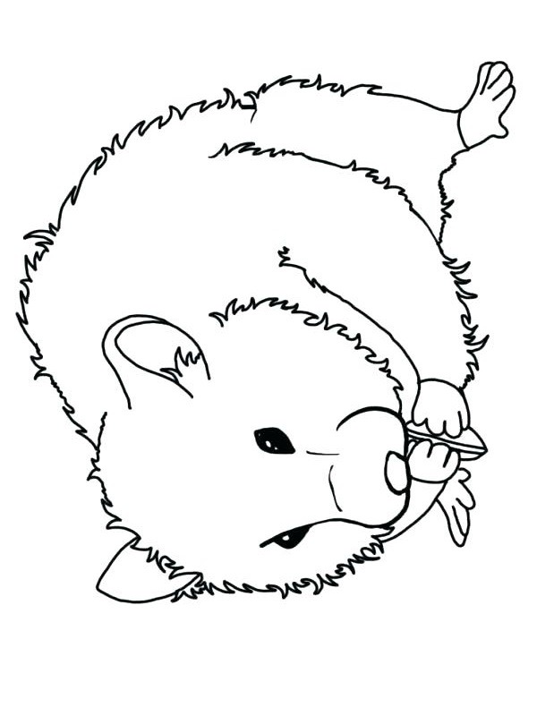 Get 85 Coloring Page Hamster Ideas 31