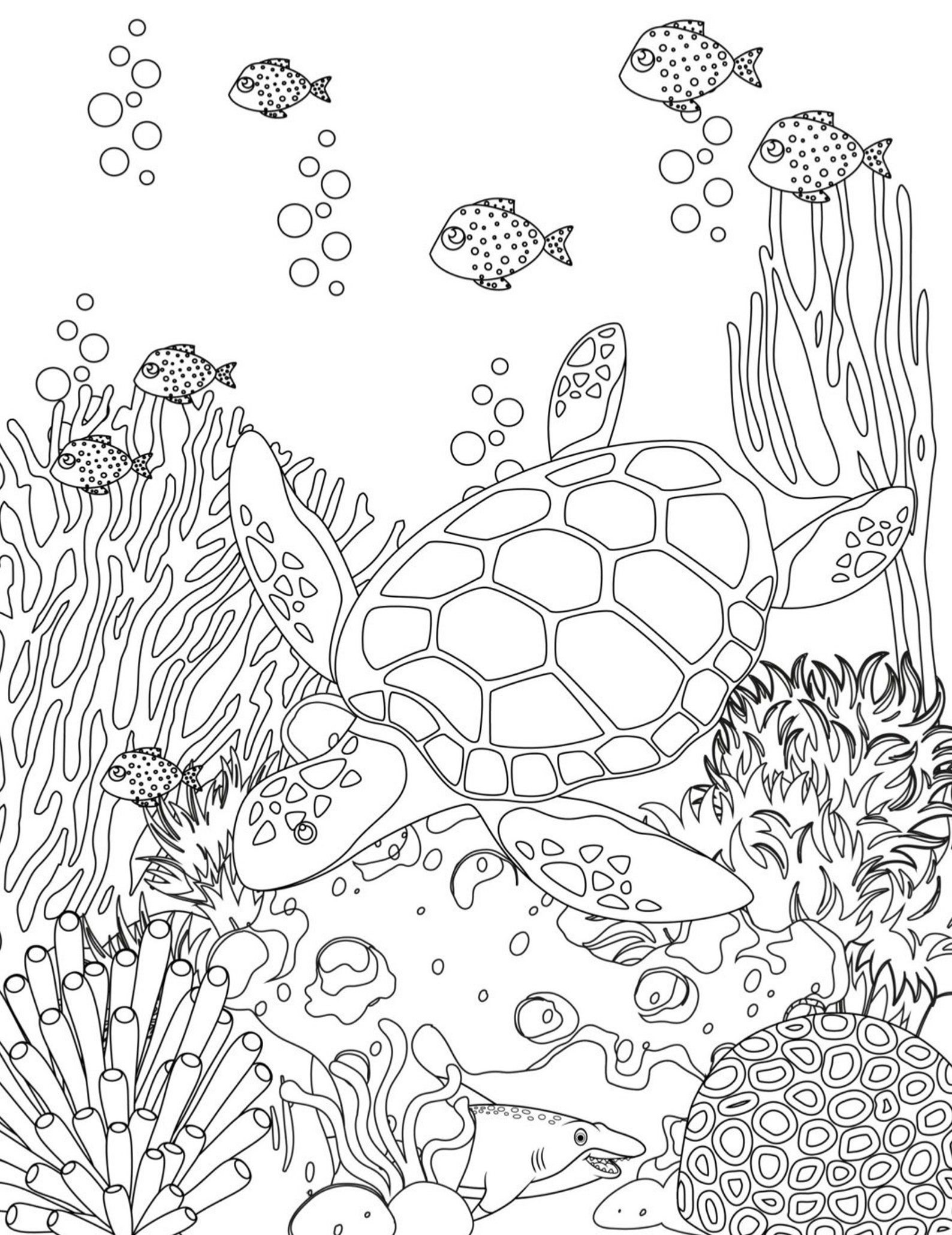 Get 85 Coloring Pages Ocean Life Ideas 22