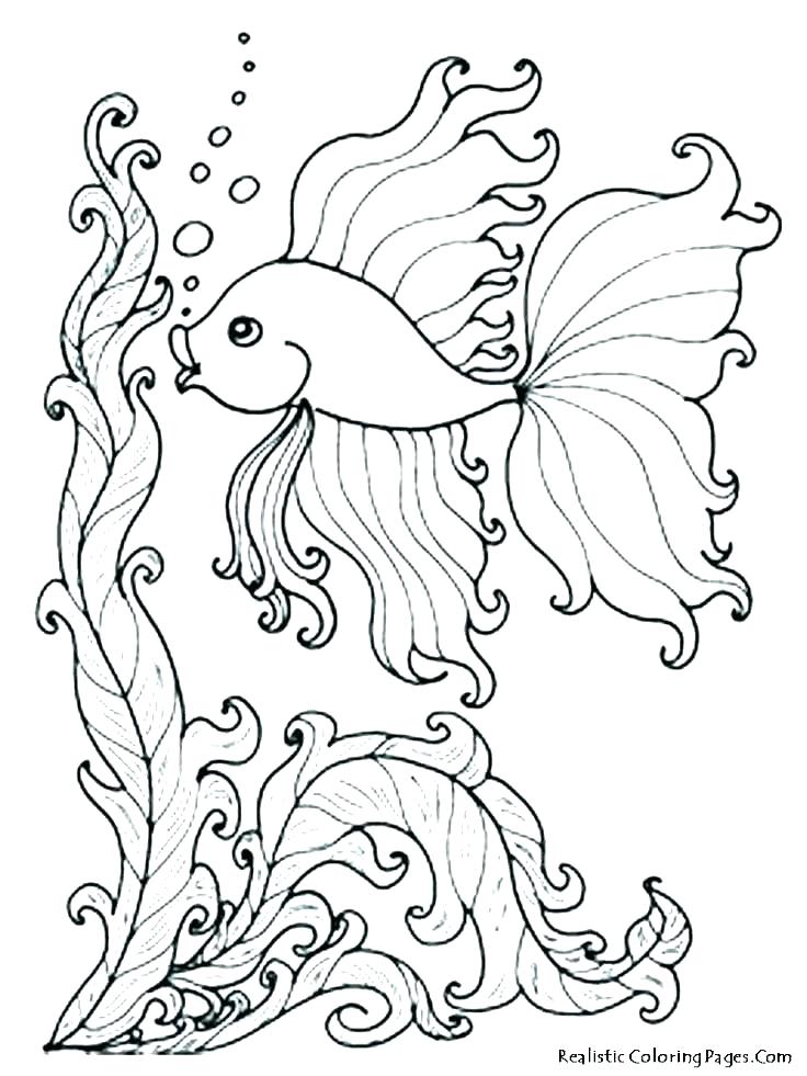 Get 85 Coloring Pages Ocean Life Ideas 28