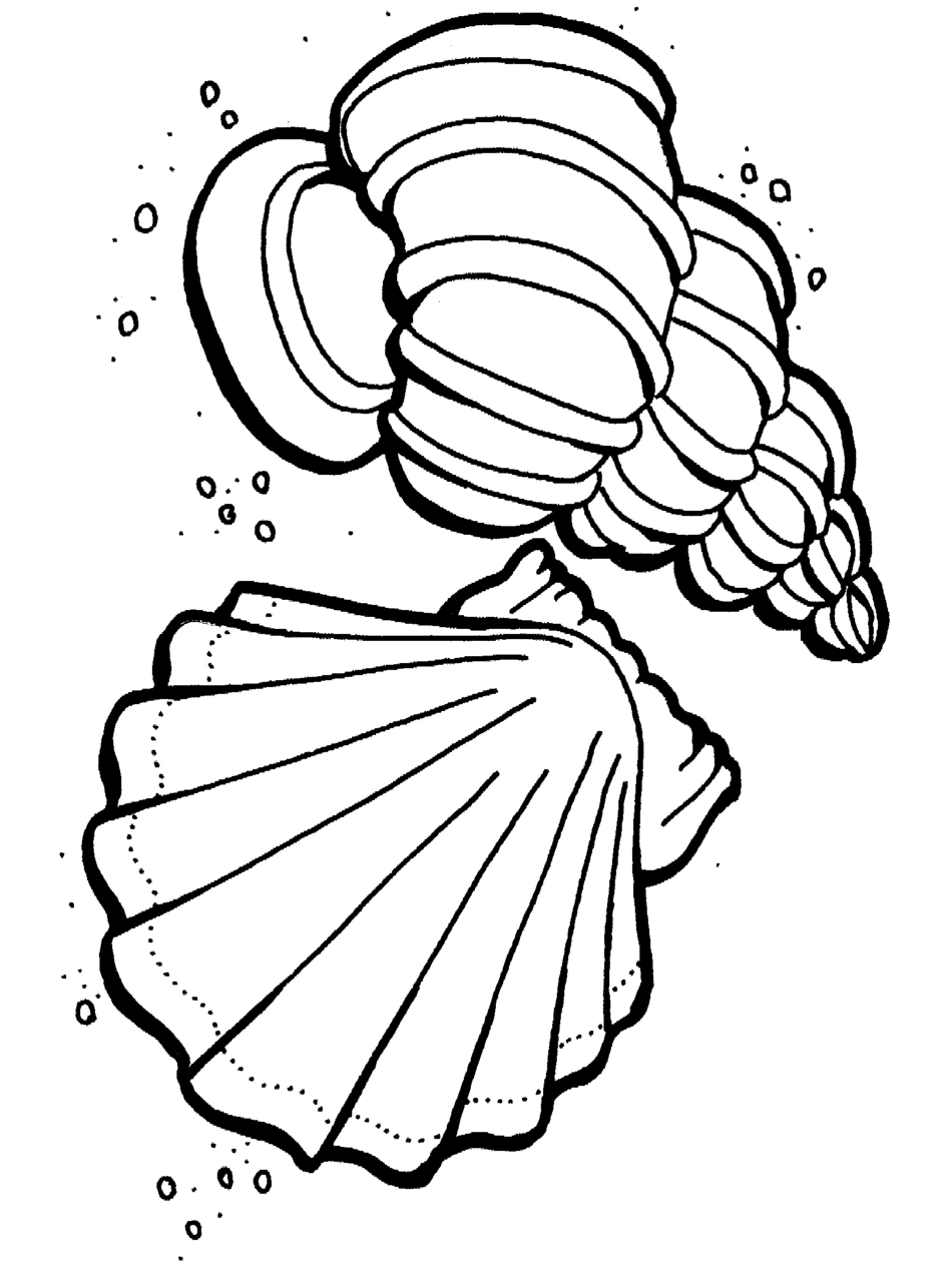 Get 85 Coloring Pages Ocean Life Ideas 29