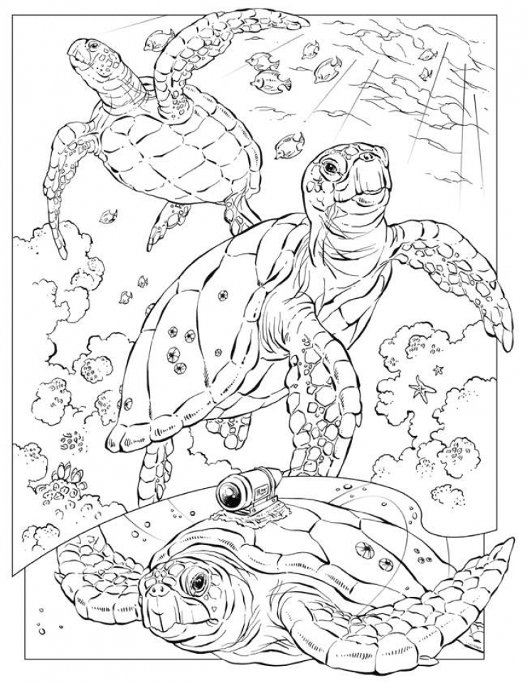 Get 85 Coloring Pages Ocean Life Ideas 58