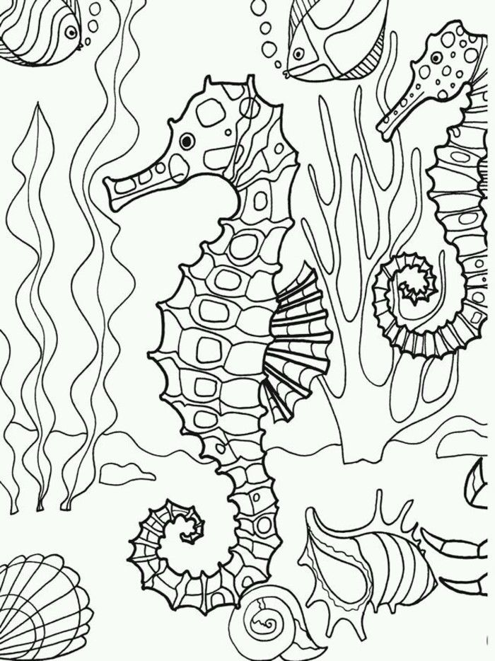 Get 85 Coloring Pages Ocean Life Ideas 61