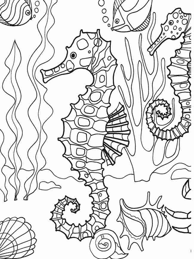 Get 85 Coloring Pages Ocean Life Ideas 9