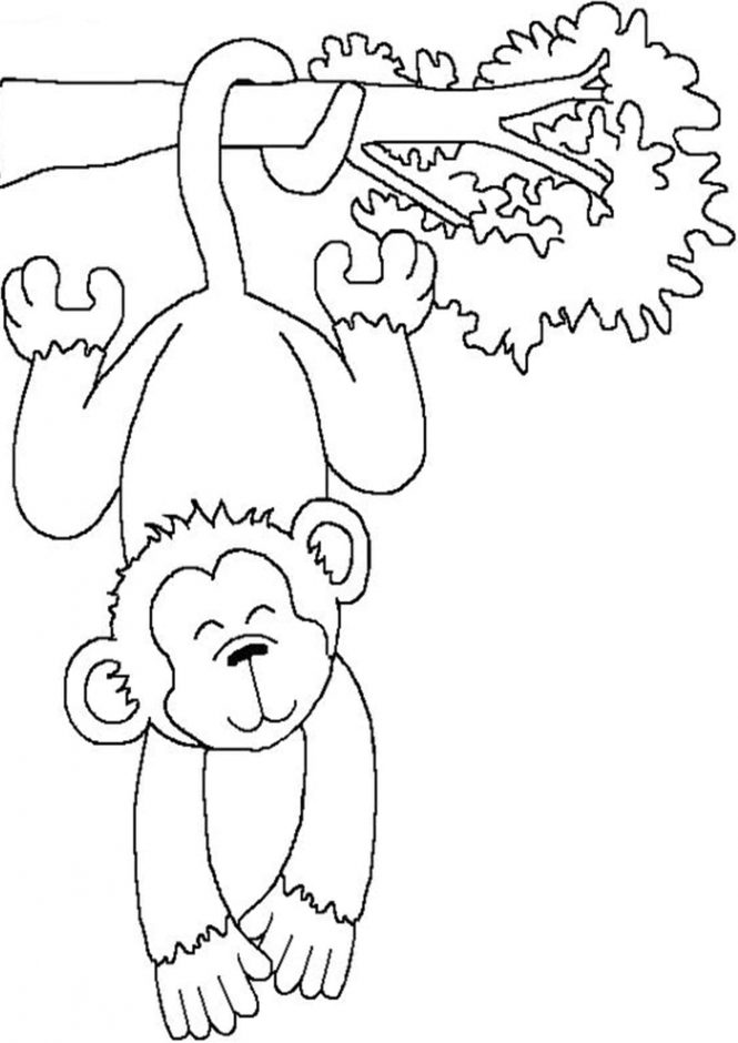 Get 85 Monkey Coloring Printables Ideas 36