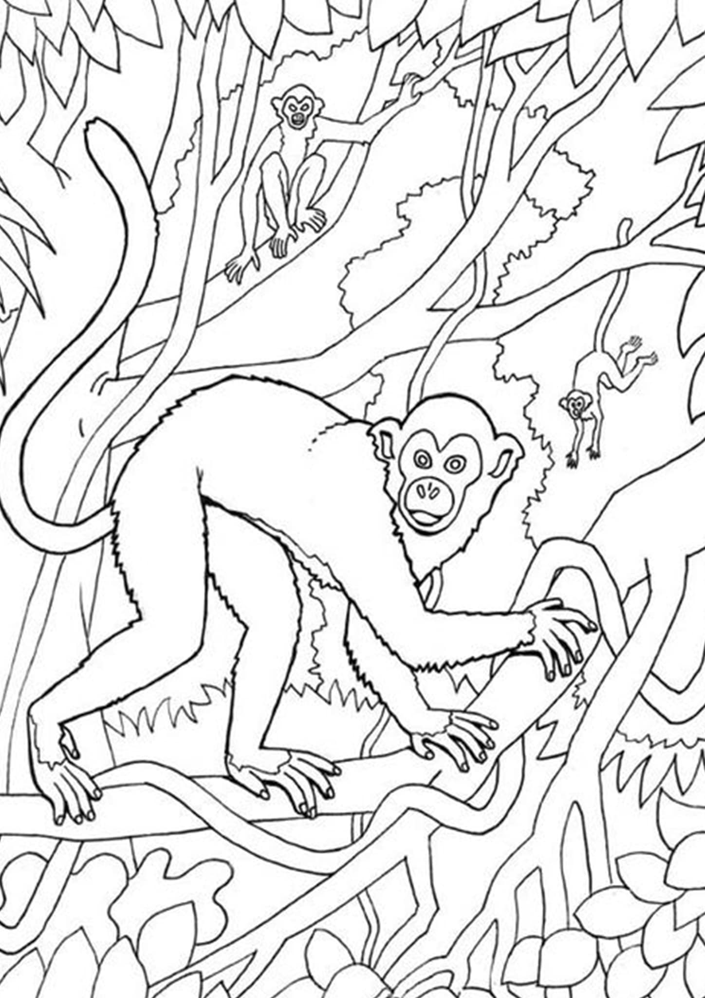 Get 85 Monkey Coloring Printables Ideas 4