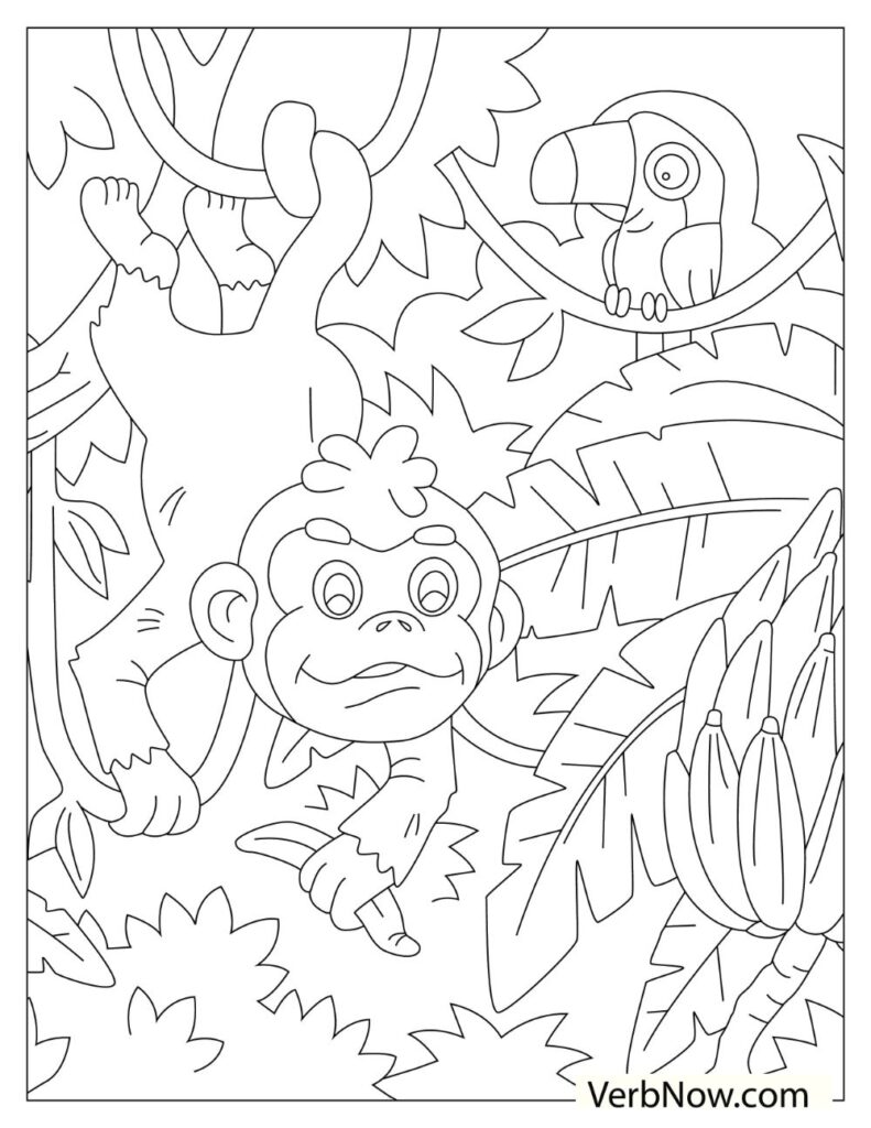 Get 85 Monkey Coloring Printables Ideas 44