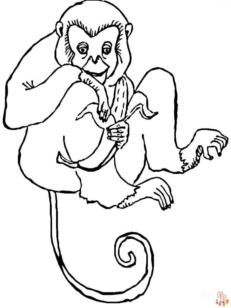 Get 85 Monkey Coloring Printables Ideas 45