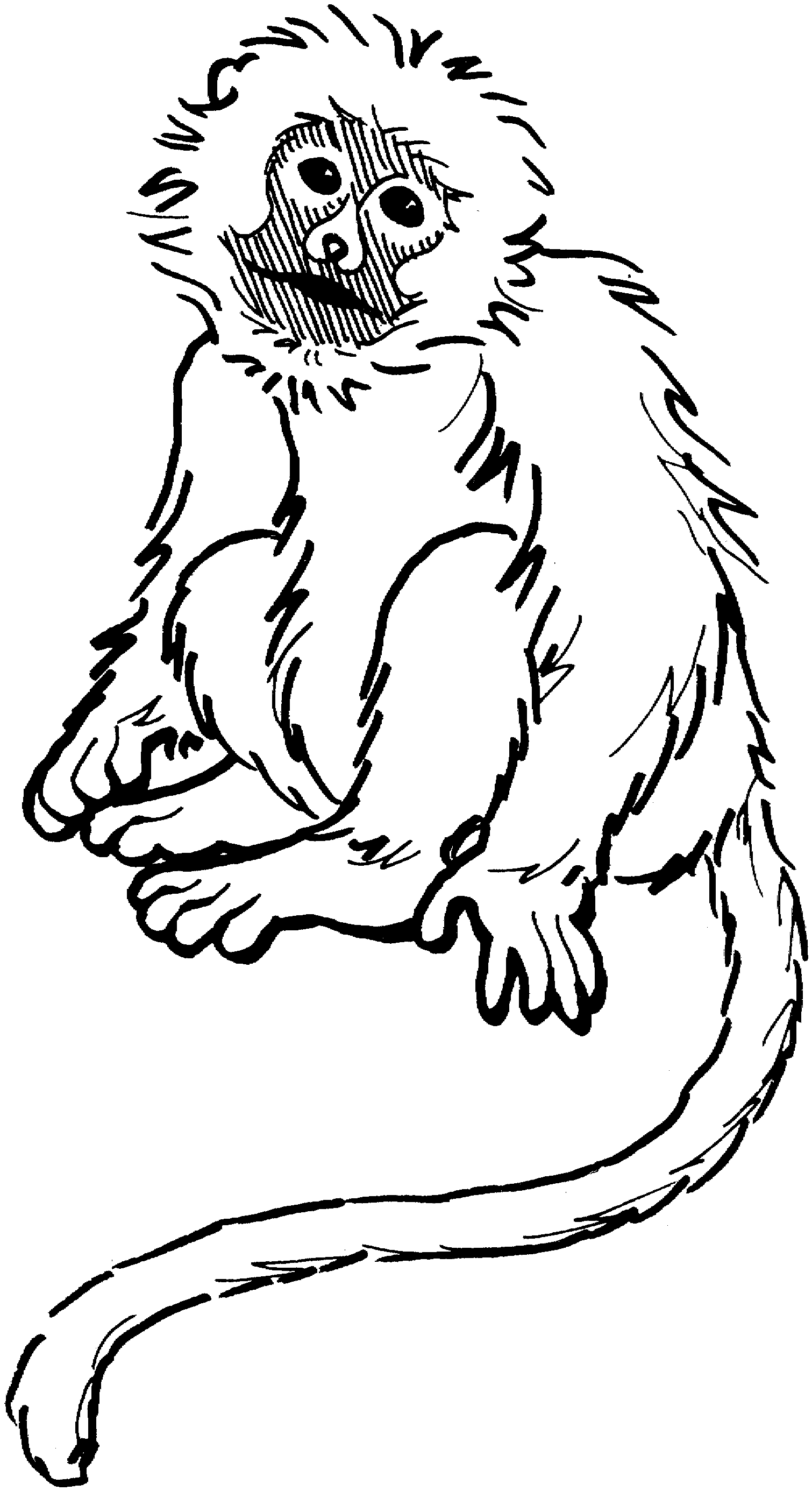 Get 85 Monkey Coloring Printables Ideas 48