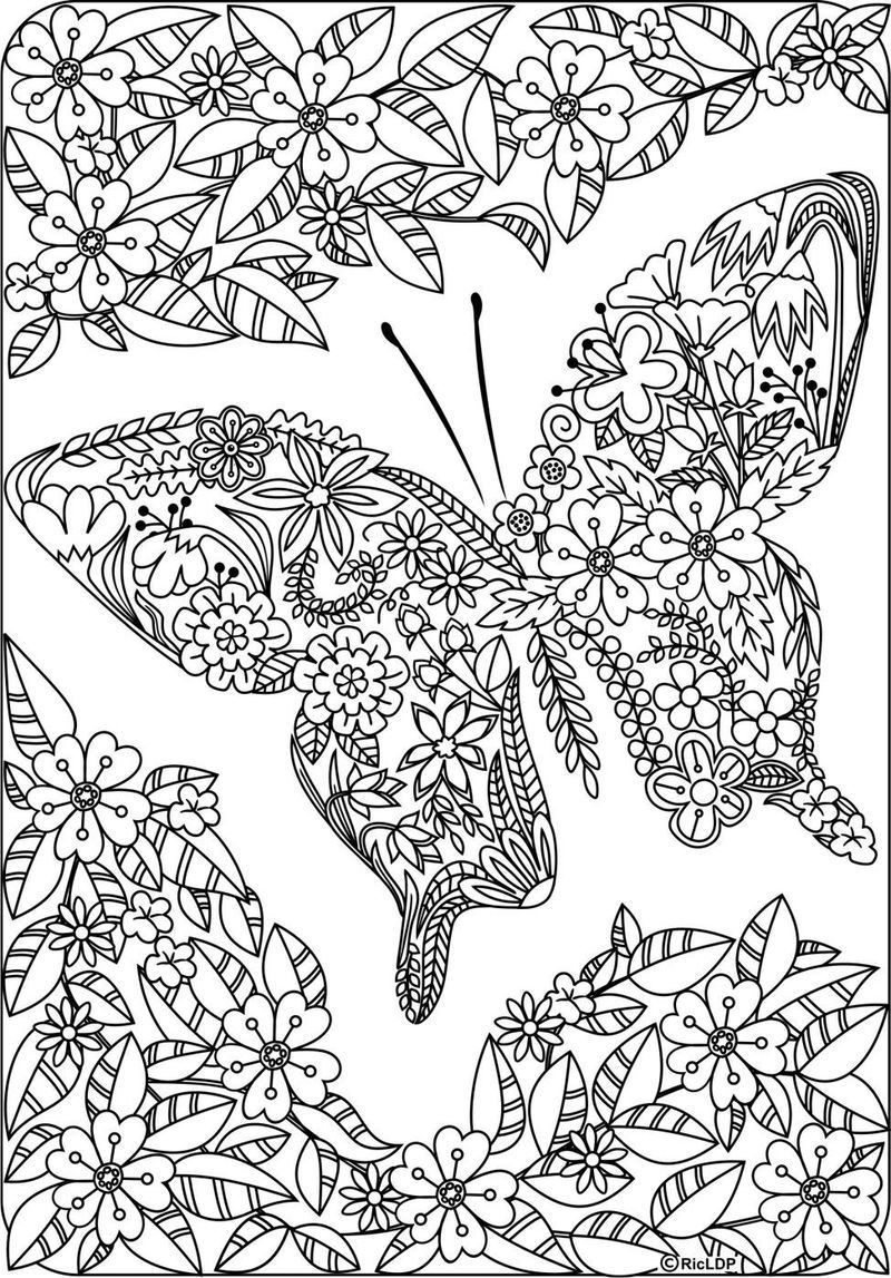 Get 85 Printable Flower Butterfly Coloring Pages Ideas 24