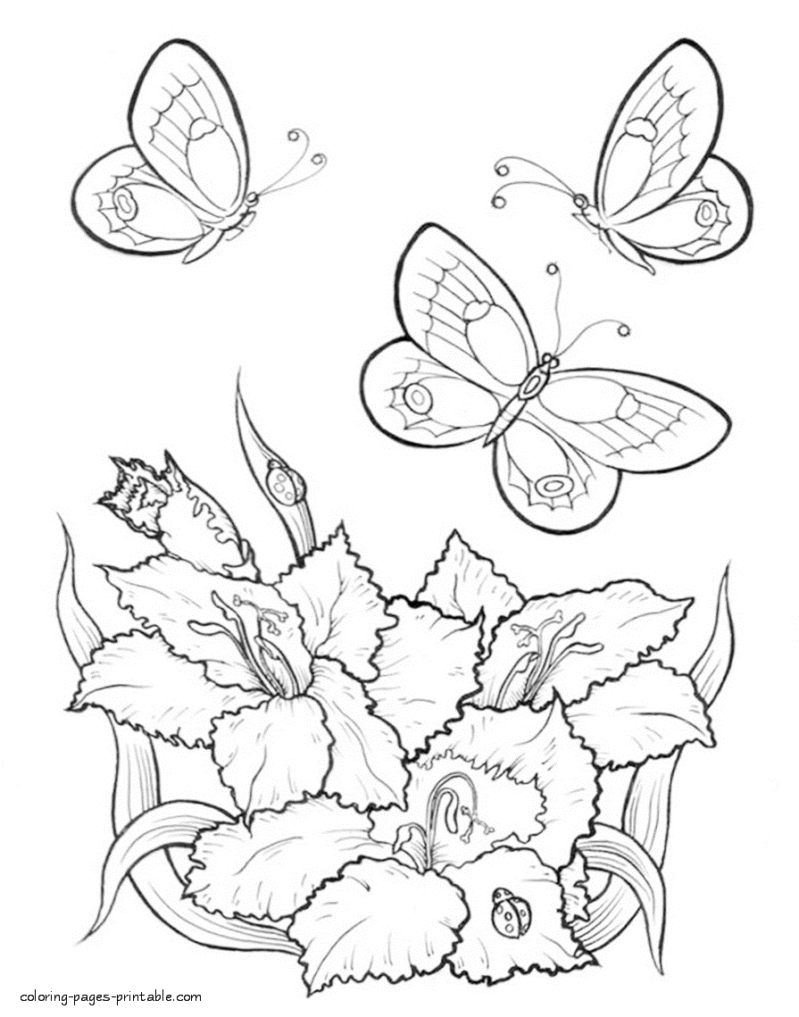 Get 85 Printable Flower Butterfly Coloring Pages Ideas 3