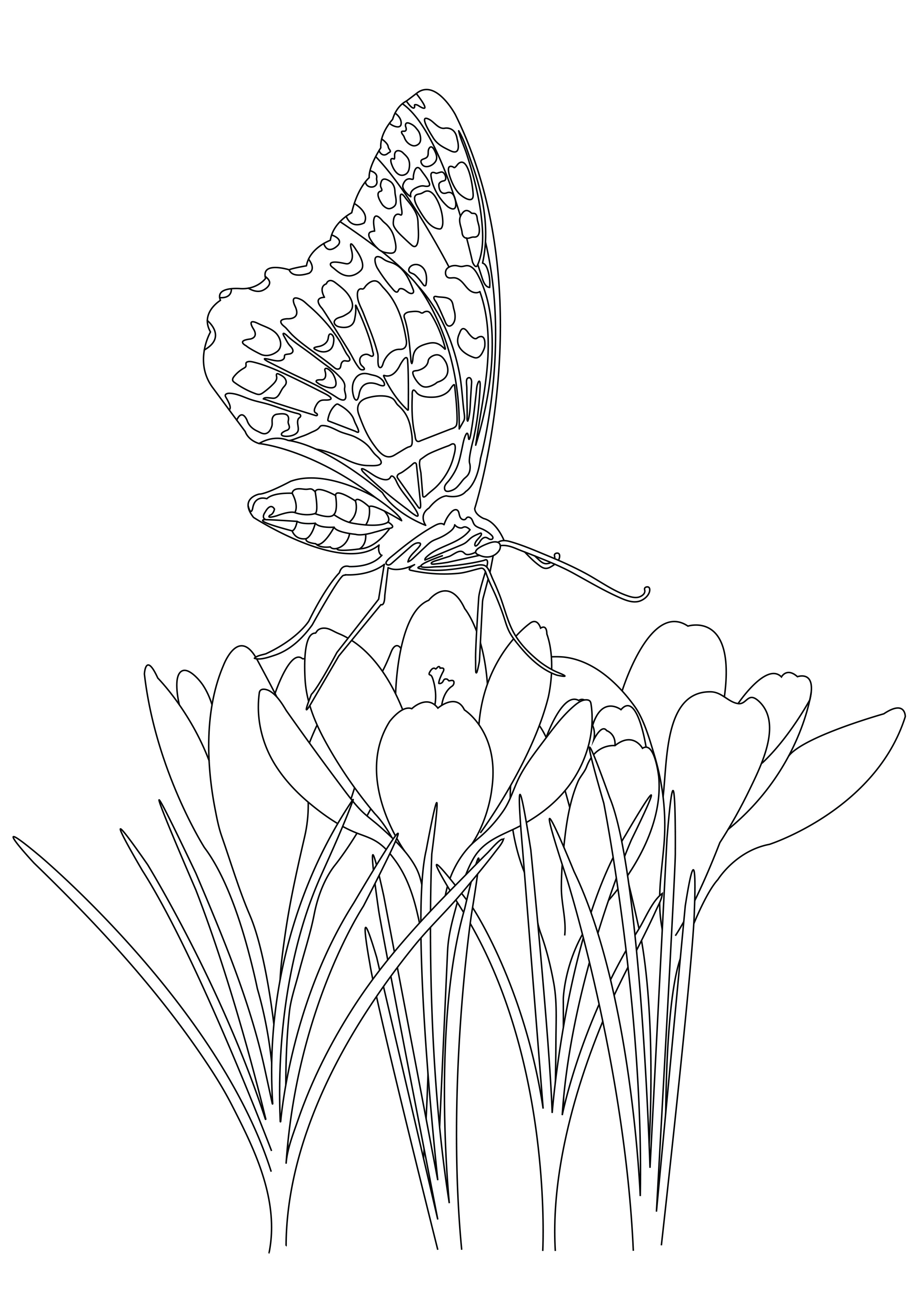 Get 85 Printable Flower Butterfly Coloring Pages Ideas 32