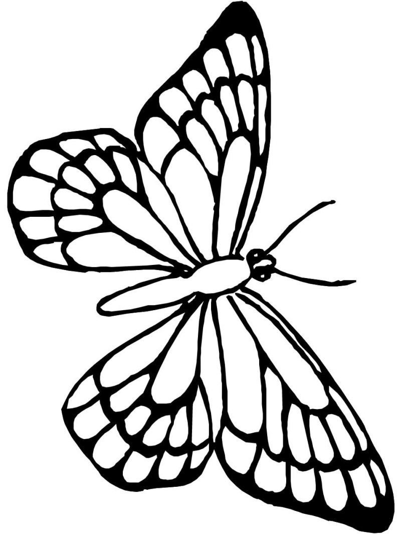 Get 85 Printable Flower Butterfly Coloring Pages Ideas 33