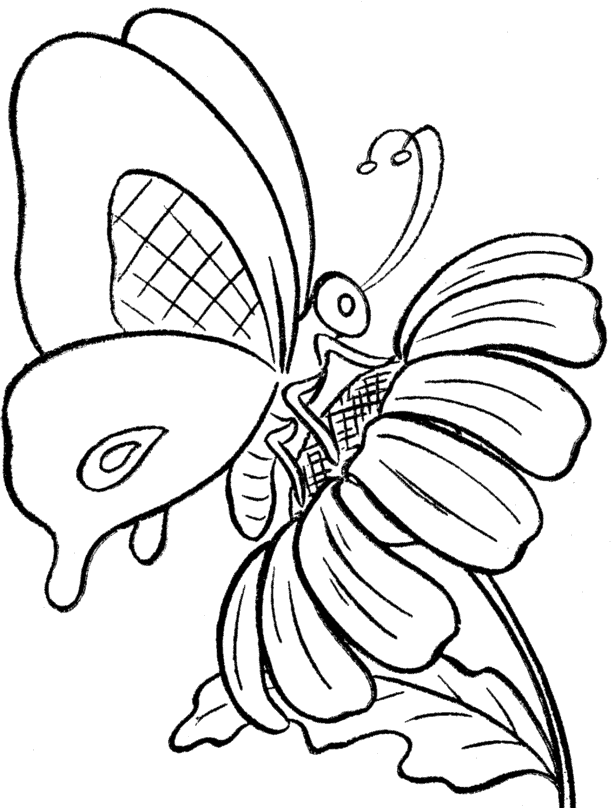 Get 85 Printable Flower Butterfly Coloring Pages Ideas 35