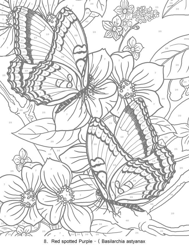 Get 85 Printable Flower Butterfly Coloring Pages Ideas 39