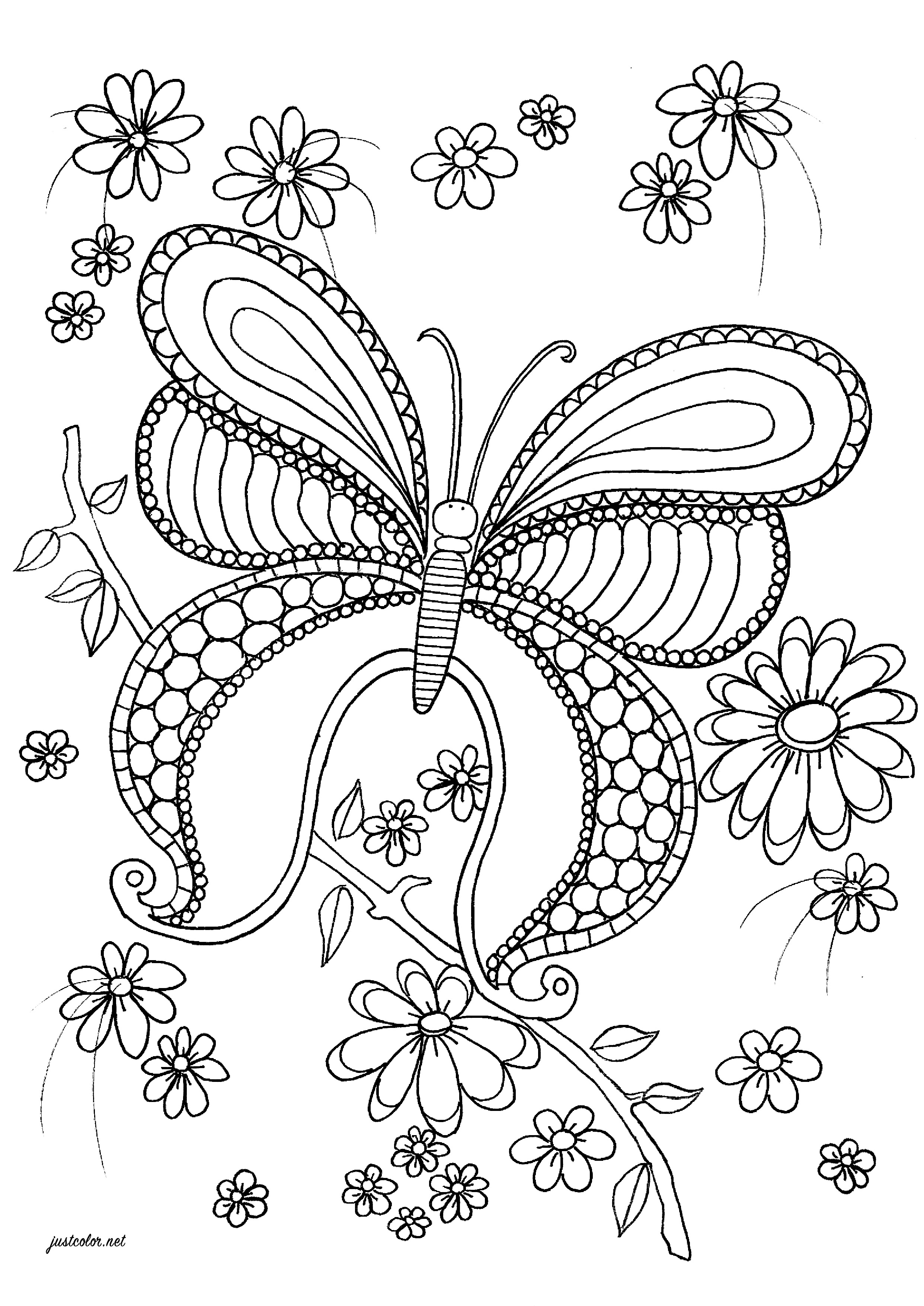 Get 85 Printable Flower Butterfly Coloring Pages Ideas 40