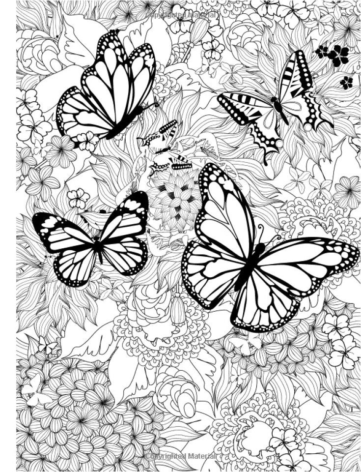 Get 85 Printable Flower Butterfly Coloring Pages Ideas 41