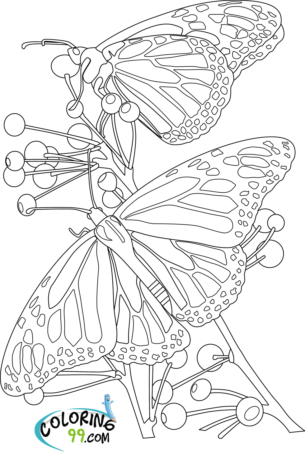 Get 85 Printable Flower Butterfly Coloring Pages Ideas 56